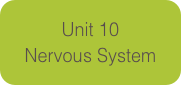Unit 10
Nervous System