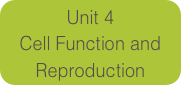 Unit 4
Cell Function and Reproduction