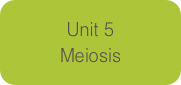Unit 5
Meiosis